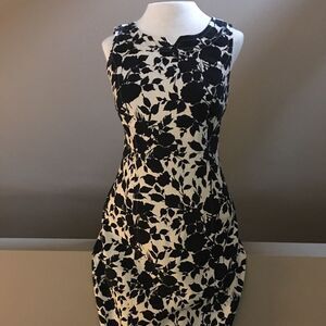 Talbots Petite Black and Cream Floral Dress